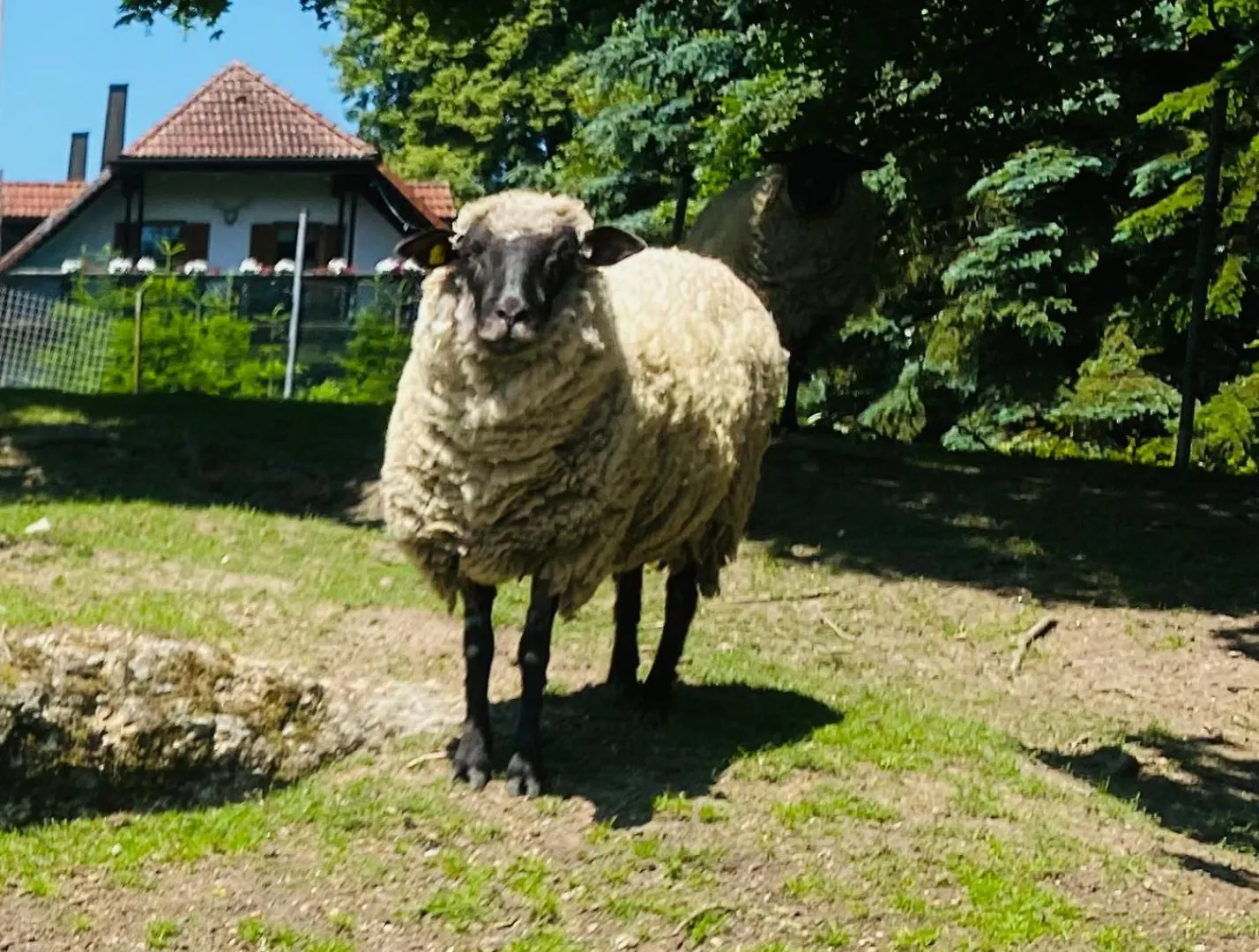 Baerenhof Apartman Tirschenreuth