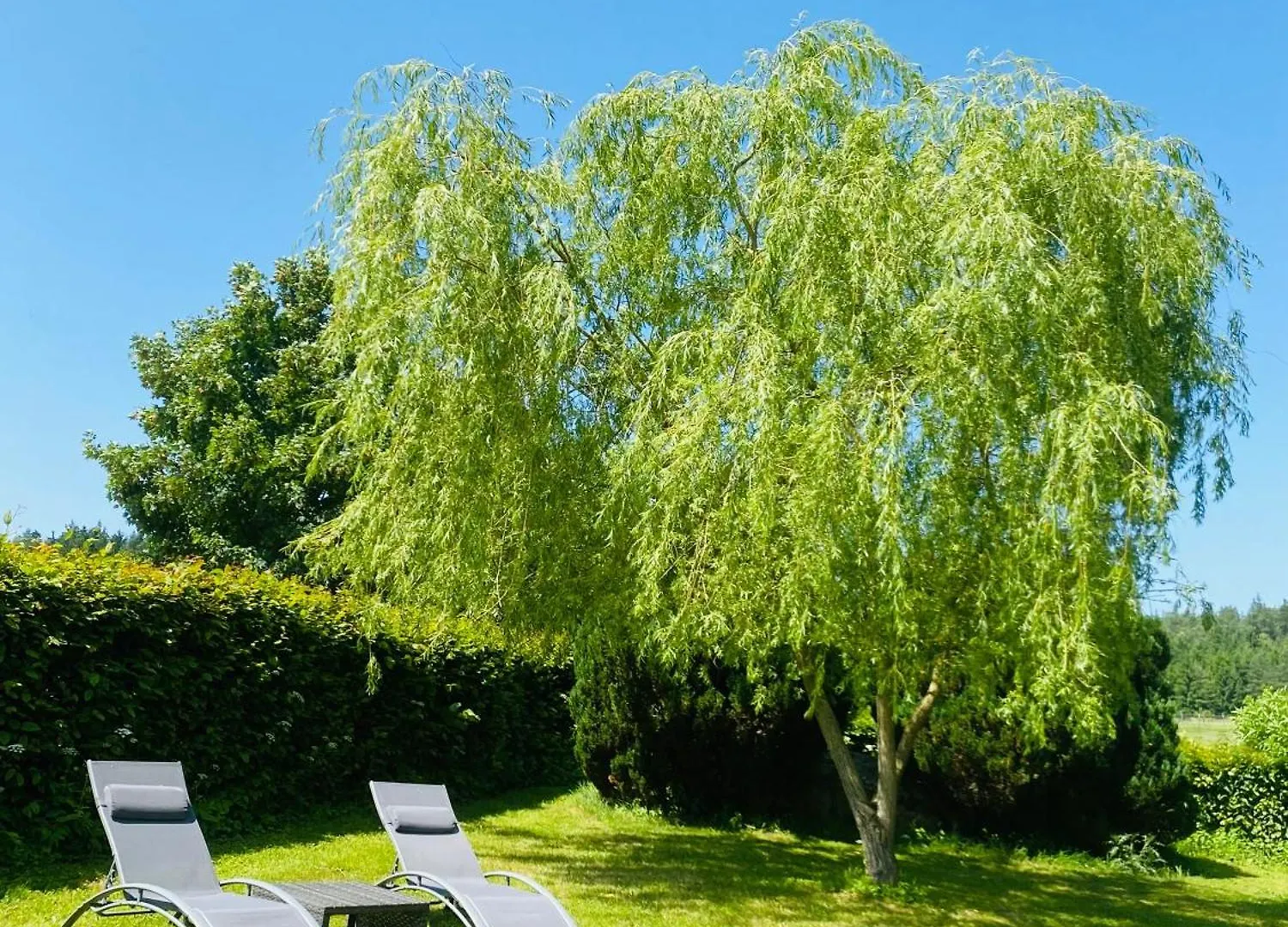 Baerenhof Apartman Tirschenreuth